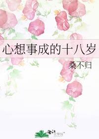 心想事成的十八岁作文