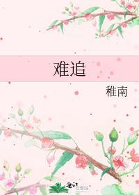 难追讲的什么