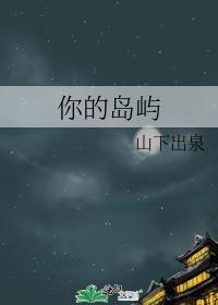 岛屿歌词歌词是什么意思