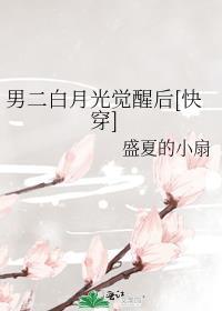 穿成男二白月光乐文