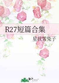短篇合集未删除txt