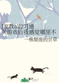 家教之all27