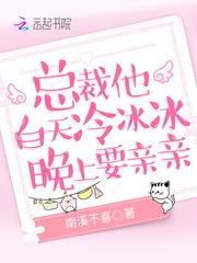 总裁他白天冷冰冰晚上要亲亲全文免费阅读TXT