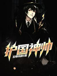护国神帅电影