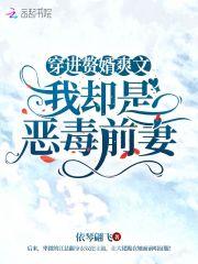 我却是恶毒前妻作者依琴翩飞
