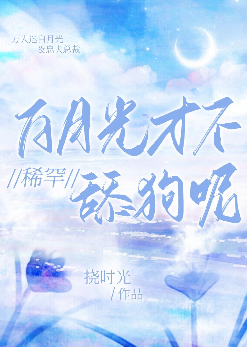 白月光啥子意思