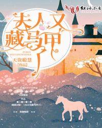 夫人又藏马甲了txt