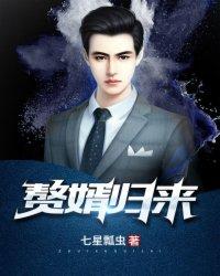 赘婿归来七星瓢虫叶皇结局