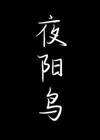 夜阳鸟姚城