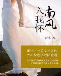 南风入我怀电视剧