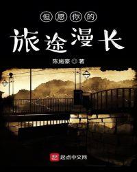 愿你长路漫漫得偿所愿是什么歌