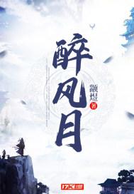 醉风月一箱多少钱