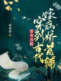 带着冰箱穿到古代嫁病娇首辅讲的什么