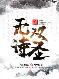 无双诗圣盗版