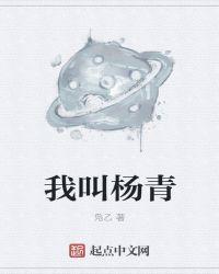 主角杨青的