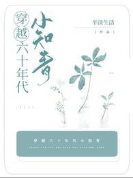 穿越六十年代小知青精校版