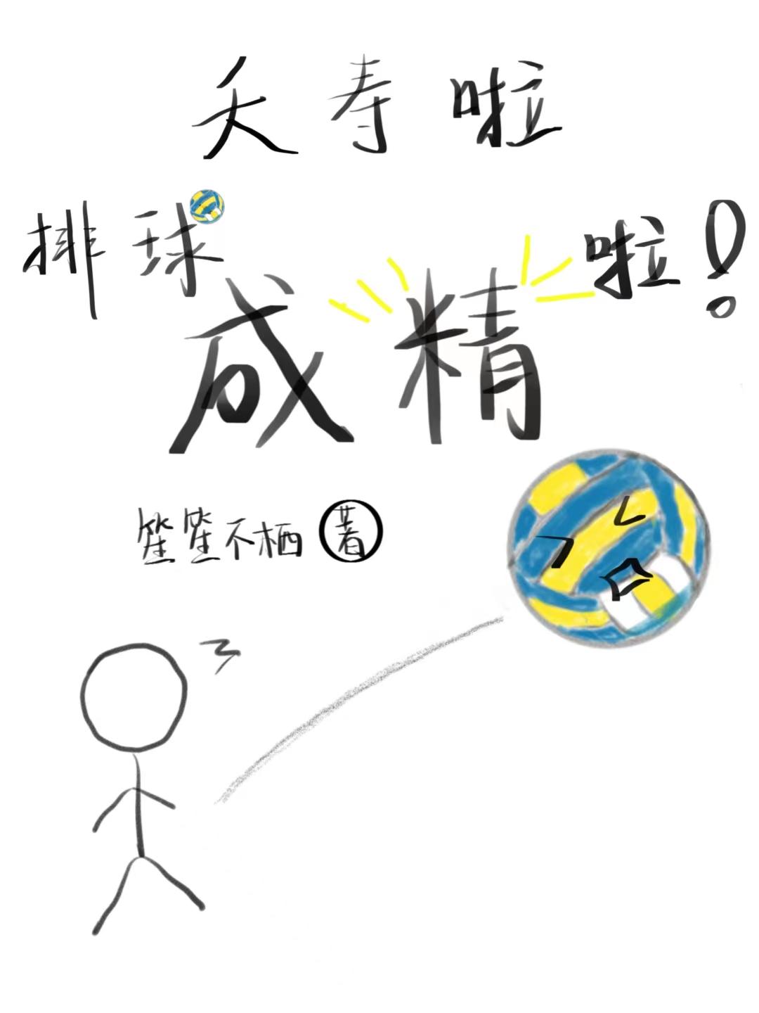 排球total