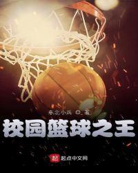 篮球之王破解版