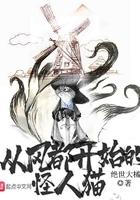 从风都开始的怪人猫类似