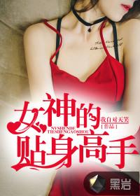 女神的贴身高手一共多少集
