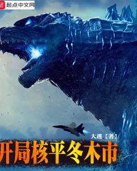 开局核平冬木市 大迷