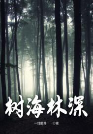 树海村深度解析