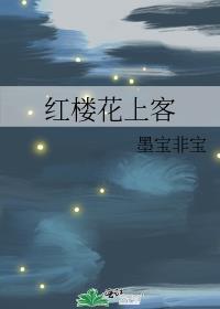 红楼花上客讲什么