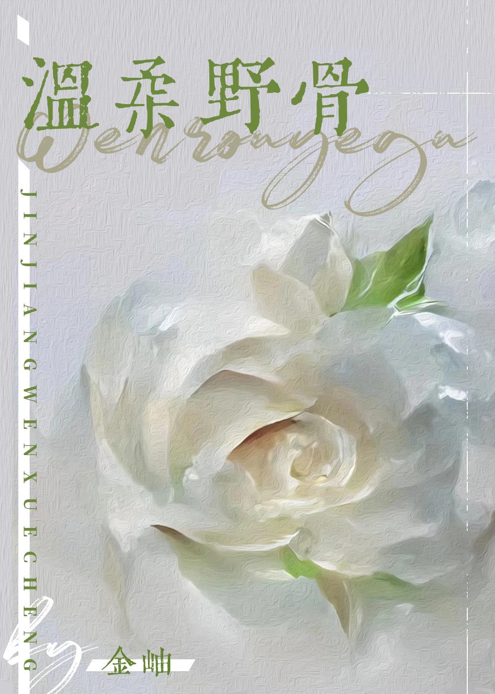 温柔野骨 金岫晋江