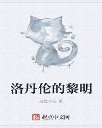 洛丹伦的黎明txt