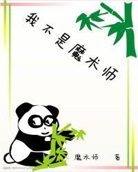 我不是术士