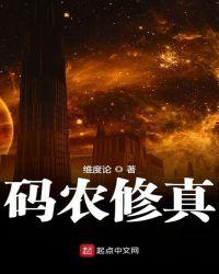 码农修真优书网