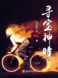 寻宝神瞳电子阅读