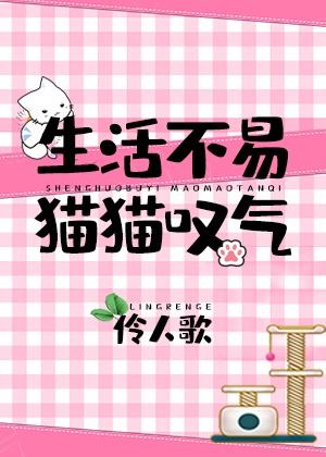 养不易猫猫叹气
