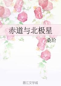 赤道与北极星百度