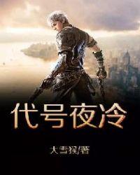 光与夜数字代号