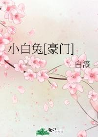 言情小白兔
