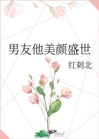 男友他美颜盛世免费阅读全本无广