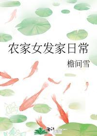 农家女的发家之路
