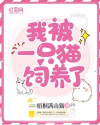 一只猫的饲养成本
