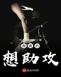 我是真的想助功