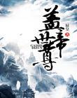 盖世帝尊等级实力划分