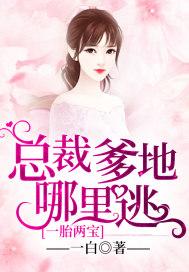 一胎两宝总裁爹地哪里逃一白