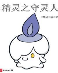 精灵之守灵人免费阅读