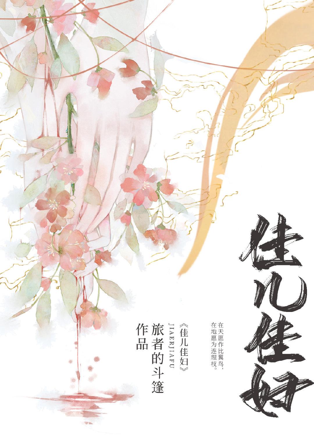 佳儿佳妇男主身份是什么?
