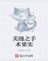 美漫之手术果实TXT