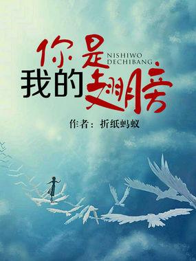 你是我的翅膀王莉