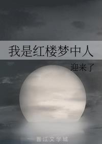 红楼梦中的我