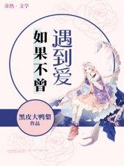 如果不曾遇见文案