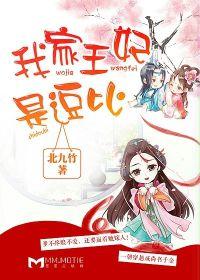 我家王妃是逗比原著