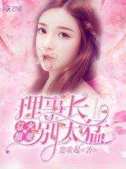 甜妻似火首长大人套路深